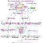 ph103_nutrition_personne.gif