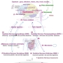 ph103_nutrition_personne.jpg