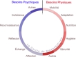 Le cercle de Stevenson