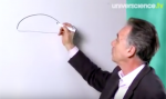 Jean-Pol Tassin le circuit de récompense-tableau